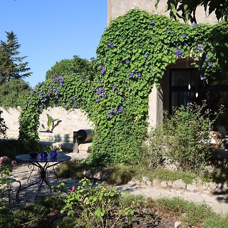 Bed and Breakfast Aux Pots Bleus Nissan-lez-Enserune Экстерьер фото